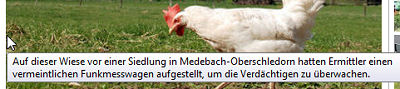 Auf dieser Wiese vor einer Siedlung in Medebach-Oberschledorn hatten Ermittler einen vermeintlichen Funkmesswagen aufgestellt, um die Verdächtigen zu überwachen.
